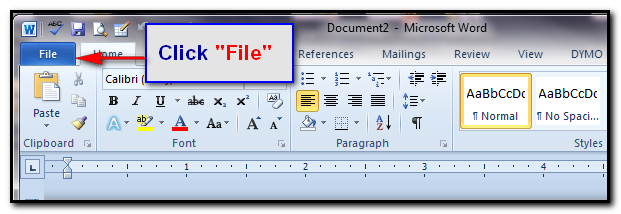 Click "File"